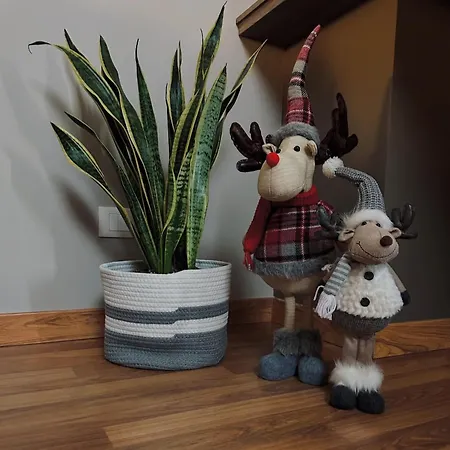 Appartement Casa Olivastri Treglio